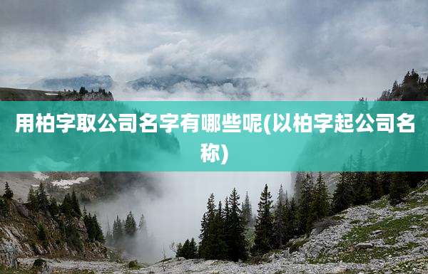 用柏字取公司名字有哪些呢(以柏字起公司名称)