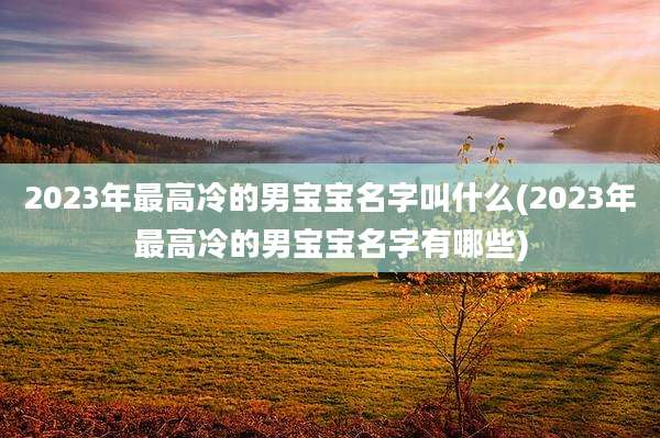 2023年最高冷的男宝宝名字叫什么(2023年最高冷的男宝宝名字有哪些)
