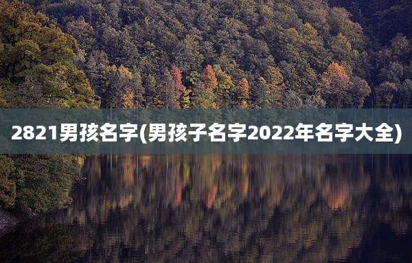 2821男孩名字(男孩子名字2022年名字大全)
