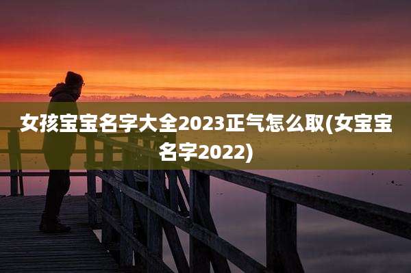 女孩宝宝名字大全2023正气怎么取(女宝宝名字2022)