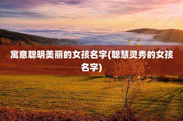 寓意聪明美丽的女孩名字(聪慧灵秀的女孩名字)
