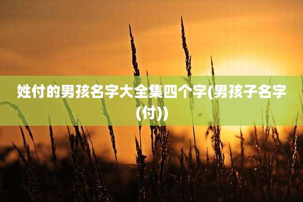 姓付的男孩名字大全集四个字(男孩子名字(付))
