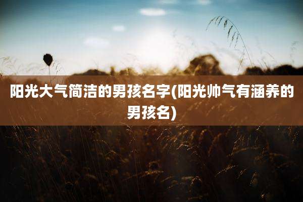 阳光大气简洁的男孩名字(阳光帅气有涵养的男孩名)