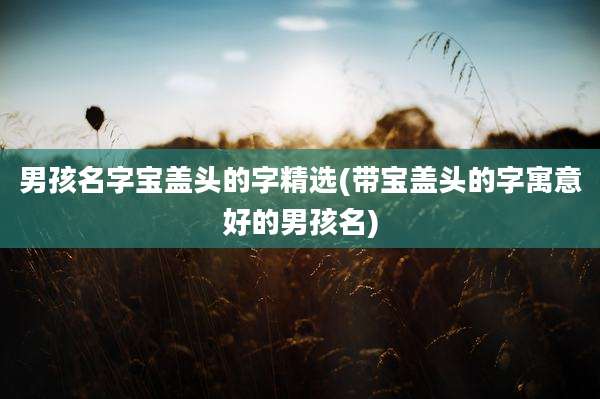 男孩名字宝盖头的字精选(带宝盖头的字寓意好的男孩名)