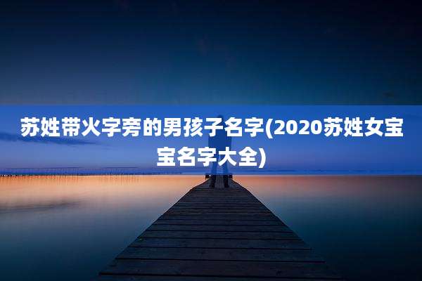 苏姓带火字旁的男孩子名字(2020苏姓女宝宝名字大全)