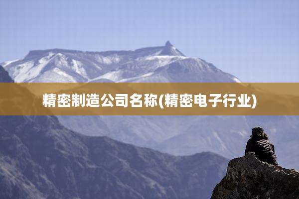 精密制造公司名称(精密电子行业)