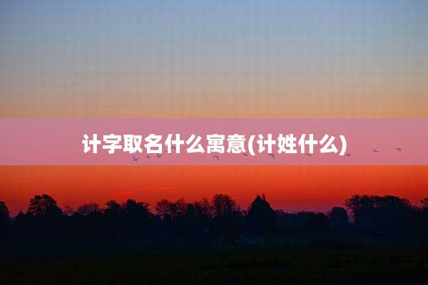 计字取名什么寓意(计姓什么)
