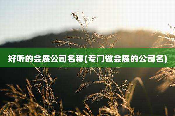 好听的会展公司名称(专门做会展的公司名)