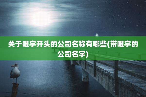 关于唯字开头的公司名称有哪些(带唯字的公司名字)