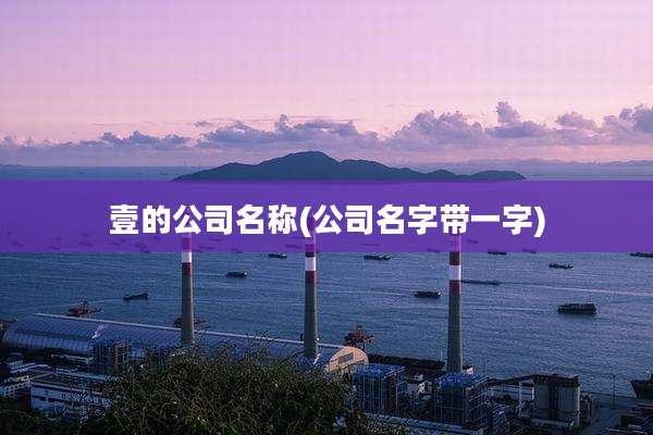 壹的公司名称(公司名字带一字)