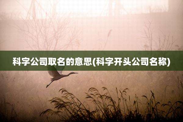 科字公司取名的意思(科字开头公司名称)