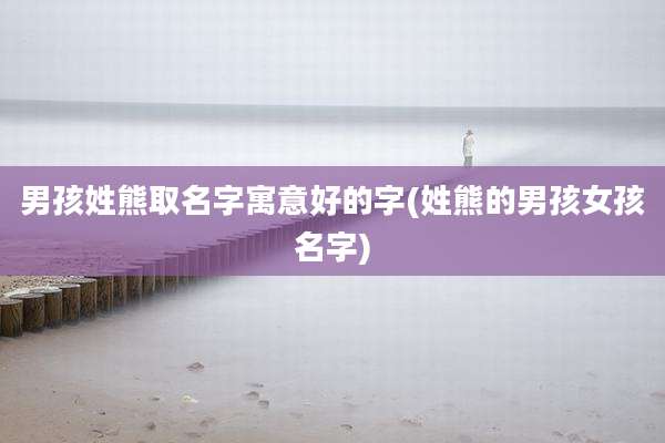 男孩姓熊取名字寓意好的字(姓熊的男孩女孩名字)