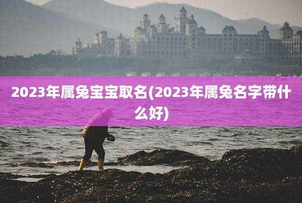 2023年属兔宝宝取名(2023年属兔名字带什么好)