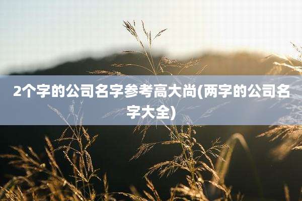 2个字的公司名字参考高大尚(两字的公司名字大全)