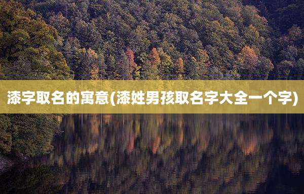 漆字取名的寓意(漆姓男孩取名字大全一个字)
