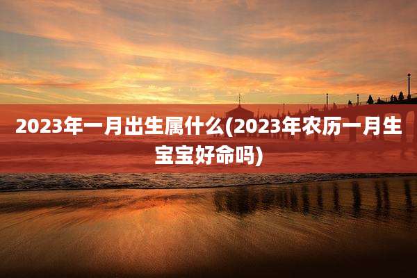 2023年一月出生属什么(2023年农历一月生宝宝好命吗)
