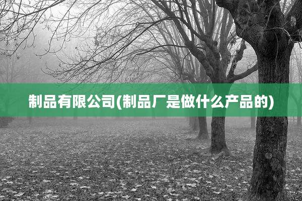 制品有限公司(制品厂是做什么产品的)