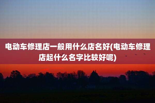 电动车修理店一般用什么店名好(电动车修理店起什么名字比较好呢)