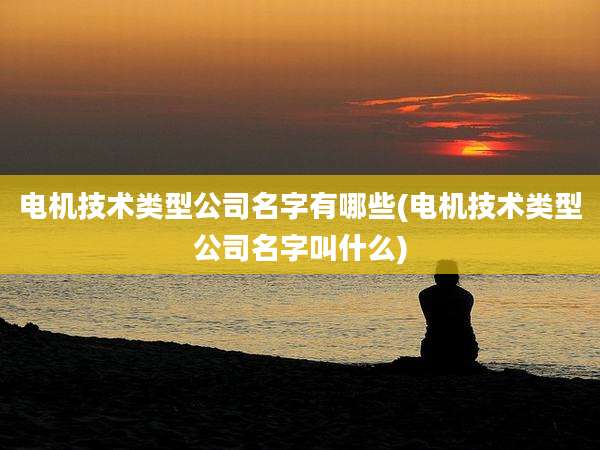 电机技术类型公司名字有哪些(电机技术类型公司名字叫什么)