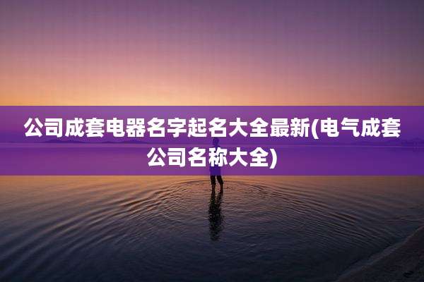 公司成套电器名字起名大全最新(电气成套公司名称大全)