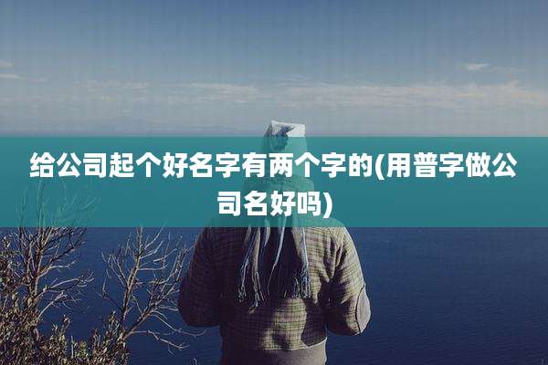给公司起个好名字有两个字的(用普字做公司名好吗)