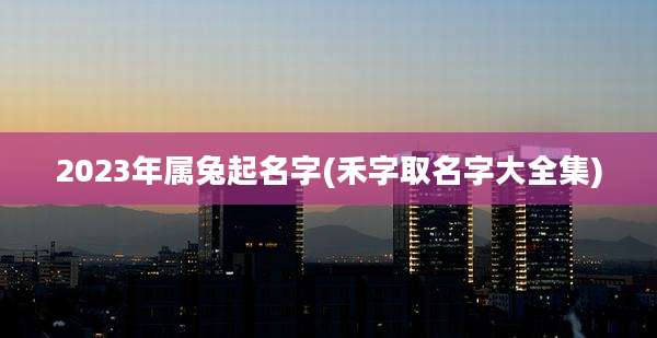 2023年属兔起名字(禾字取名字大全集)