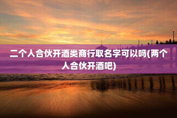 二个人合伙开酒类商行取名字可以吗(两个人合伙开酒吧)