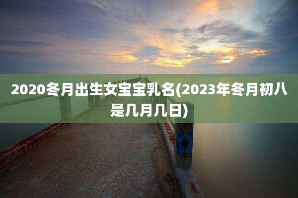 2020冬月出生女宝宝乳名(2023年冬月初八是几月几日)