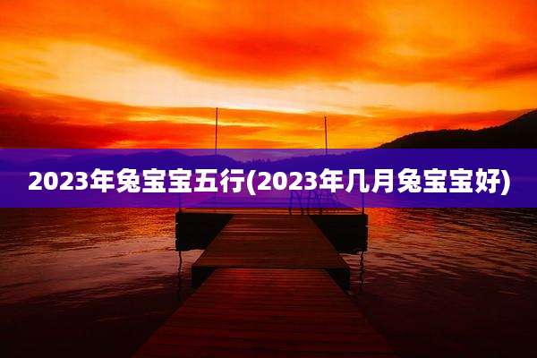 2023年兔宝宝五行(2023年几月兔宝宝好)