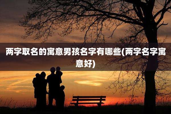 两字取名的寓意男孩名字有哪些(两字名字寓意好)
