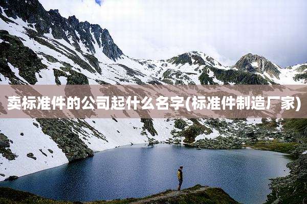 卖标准件的公司起什么名字(标准件制造厂家)