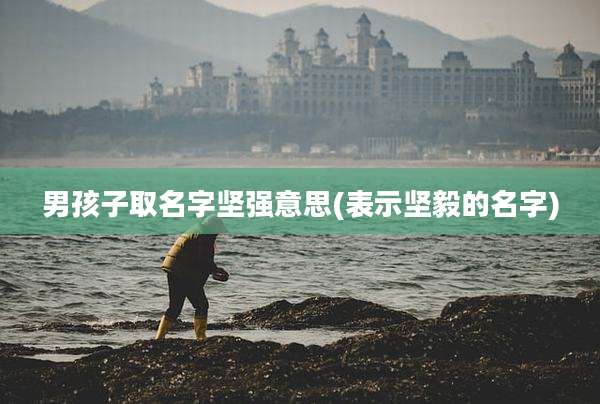 男孩子取名字坚强意思(表示坚毅的名字)