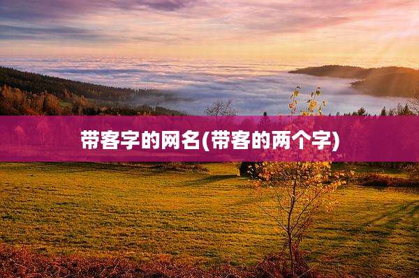 带客字的网名(带客的两个字)