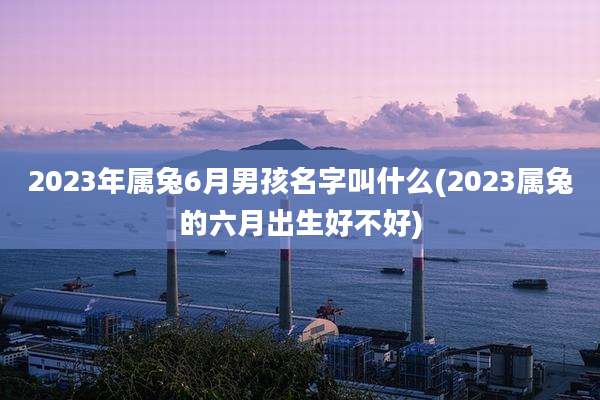 2023年属兔6月男孩名字叫什么(2023属兔的六月出生好不好)