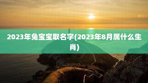 2023年兔宝宝取名字(2023年8月属什么生肖)