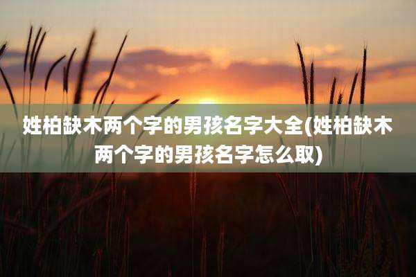 姓柏缺木两个字的男孩名字大全(姓柏缺木两个字的男孩名字怎么取)