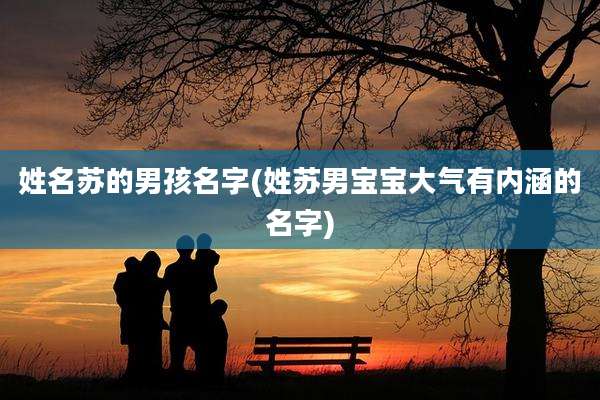 姓名苏的男孩名字(姓苏男宝宝大气有内涵的名字)