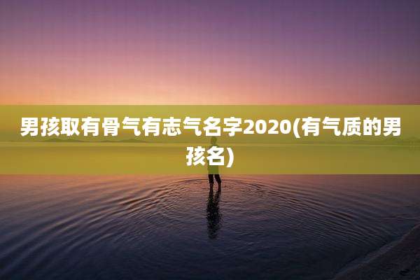 男孩取有骨气有志气名字2020(有气质的男孩名)