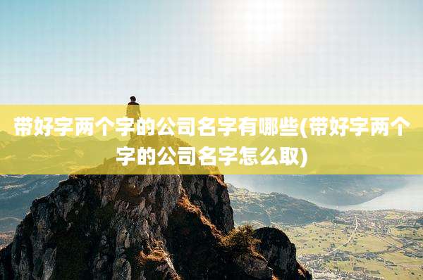 带好字两个字的公司名字有哪些(带好字两个字的公司名字怎么取)
