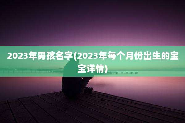 2023年男孩名字(2023年每个月份出生的宝宝详情)
