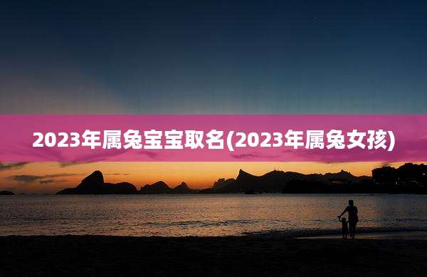 2023年属兔宝宝取名(2023年属兔女孩)