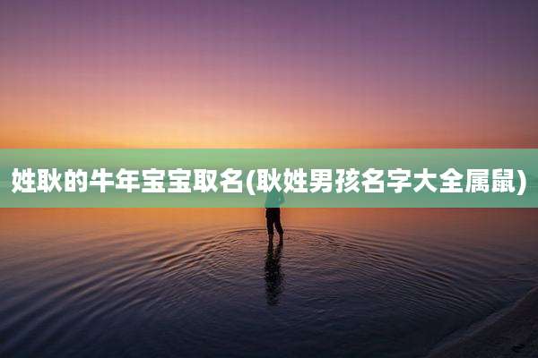姓耿的牛年宝宝取名(耿姓男孩名字大全属鼠)