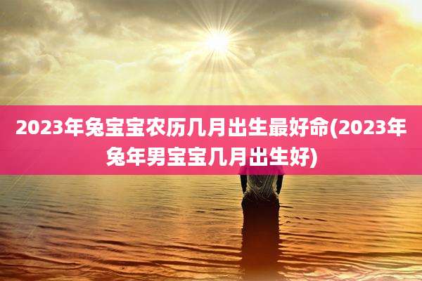 2023年兔宝宝农历几月出生最好命(2023年兔年男宝宝几月出生好)