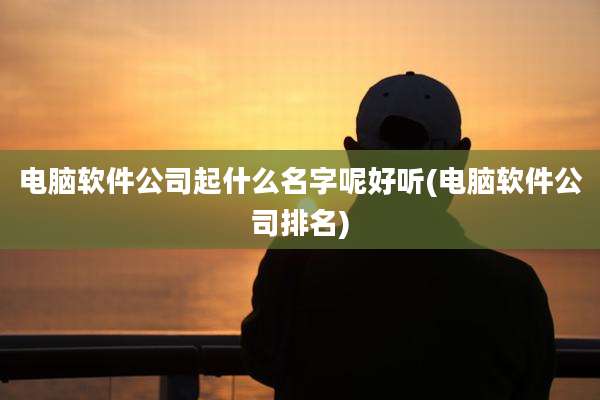 电脑软件公司起什么名字呢好听(电脑软件公司排名)