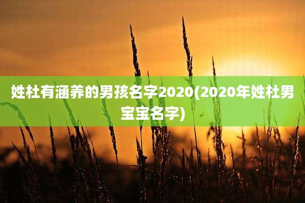 姓杜有涵养的男孩名字2020(2020年姓杜男宝宝名字)