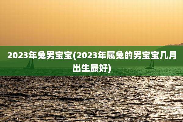 2023年兔男宝宝(2023年属兔的男宝宝几月出生最好)