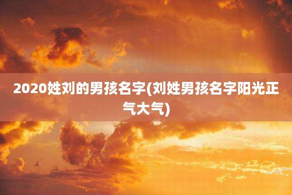2020姓刘的男孩名字(刘姓男孩名字阳光正气大气)
