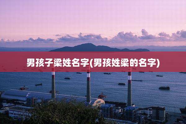 男孩子梁姓名字(男孩姓梁的名字)