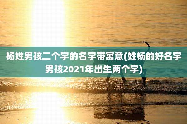 杨姓男孩二个字的名字带寓意(姓杨的好名字男孩2021年出生两个字)