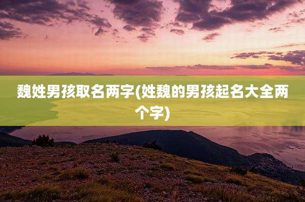 魏姓男孩取名两字(姓魏的男孩起名大全两个字)